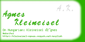 agnes kleineisel business card